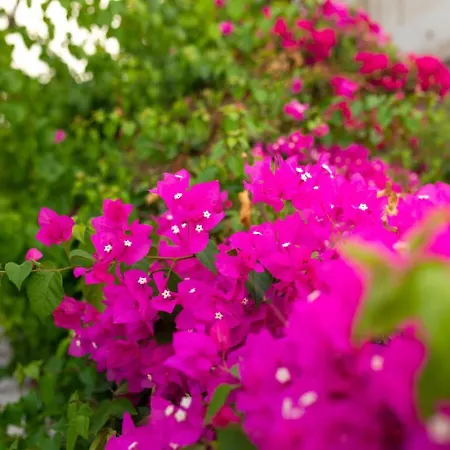 Fantasy - Luxury 4br Seaview Retreat With Private Pool