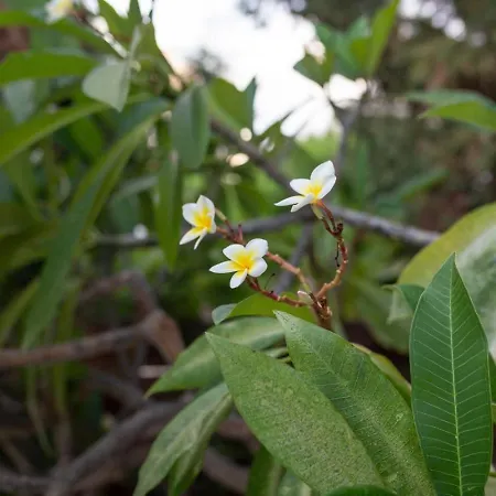 Fantasy - Luxury 4br Seaview Retreat With Private Pool Σπίτι διακοπών *