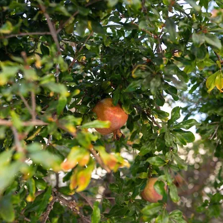 Fantasy - Luxury 4br Seaview Retreat With Private Pool Дом отдыха Пейя