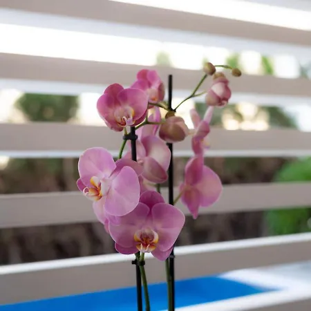 Fantasy - Luxury 4br Seaview Retreat With Private Pool * Пейя